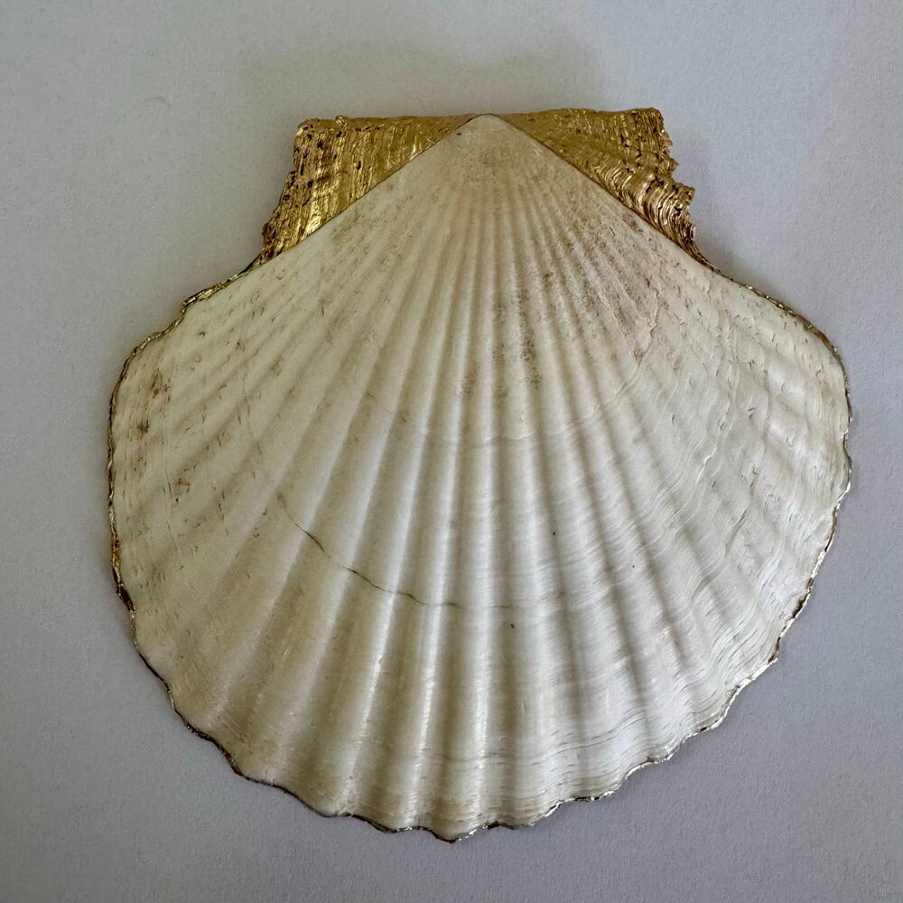 Mediterranean Lemon Scalloped Seashell Trinket Dish - Picture 6 of 6